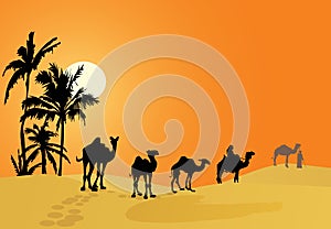 Camel caravan in desert