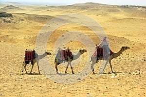 Camel caravan in desert