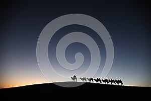 Camel caravan in the desert dawn photo