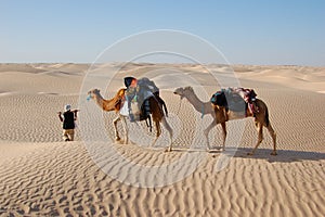 Caravana en desierto 