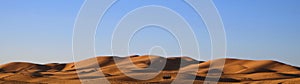 Camel caravan with a camel driver performs the transition of tourists in the Sahara Desert in Morocco