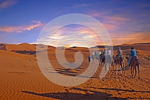 Camel caravan going through the Sahara Desert in Morocco