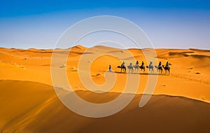 Camel caravan going through the sand dunes in beautiful Sahara Desert. Amazing view nature of Africa. Artistic picture. Beauty