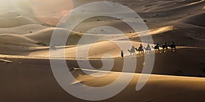 Camel caravan going through the sand dunes in the Sahara Desert