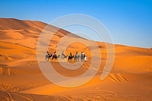 Camel caravan going through the sand dunes in the Sahara Desert, Merzouga, Morocco