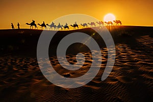 Camel Caravan photo