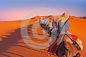 Camel caravan going through the sand dunes in the Sahara Desert,