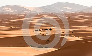 Camel caravan going through the sand dunes in the Sahara Desert. Morocco Africa. Beautiful sand dunes in the Sahara