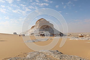 Camel Caravan with men hiking through the western desert in Egypt n Bahariya oasis