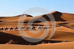 Camel caravan in Sahara desert.