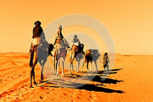 Camel Caravan in the Sahara Desert