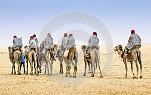 Camel Caravan in the Sahara desert,Africa