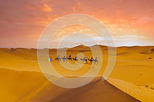 Camel caravan in Sahara desert Merzouga, Morocco