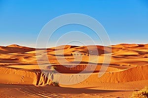 Camel caravan in Sahara Desert, Morocco