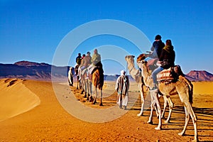 Camel caravan in the Sahara desert, Morocco. Concept of travel and exotic adventures.