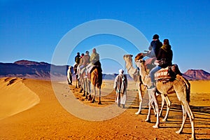 Camel caravan in the Sahara desert, Morocco. Concept of travel and exotic adventures. photo