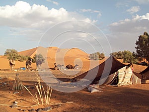 Camel caravan on the Sahara Desert, Morocco, tent campament, wild settlement