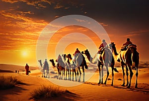 Camel caravan in the Sahara desert at sunset, Morocco, Africa