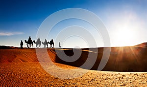 Camel caravan on sand dunes in the desert