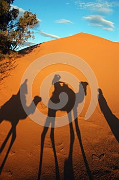 Camel caravan shadows