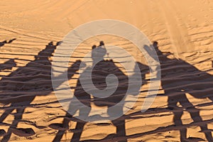 Camel caravan shadows in a sand