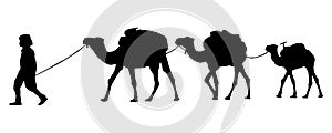 camel caravan silhouette