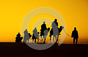 Camel Caravan silhouette