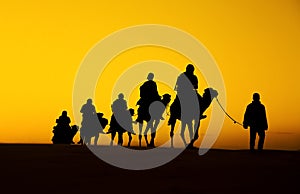Camel Caravan silhouette photo