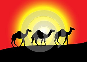 Camel Caravan Silhouette at Sunset