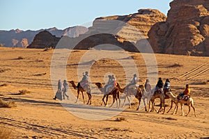 Camel caravan with tourists goes through the Wadi Rum desert in Jordan