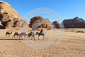 Camel caravan with tourists goes through the Wadi Rum desert in Jordan