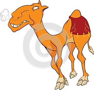 Camel . Cartoon