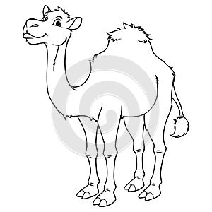 Camel Cartoon Animal Illustration BW