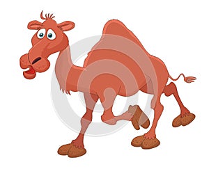 Camel cartoon vector illustration