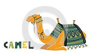 Camel cartoon vector illustration on white. Decorated camel with seat for a ride