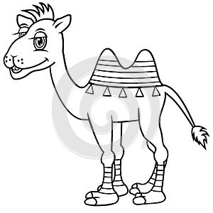 Camel, coloring book photo