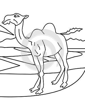 Camel coloring page