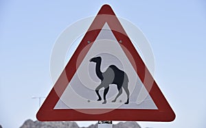 Camel Crossing Traffic Sign, Oman