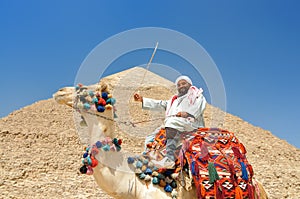 Camel driver and pyramid