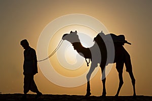 A camel driver walks with his camel in the sun light