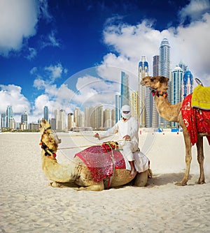 Camel on Dubai Beach