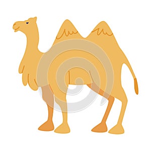 Camel Even-toed Ungulate as Traditional Istanbul Symbol Vector Illustration photo
