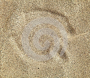 Camel foot prints in sand desert