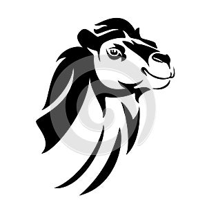 Camel head black and white vector outline portrait