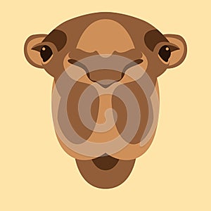 Camel head face vector illustration flat style front