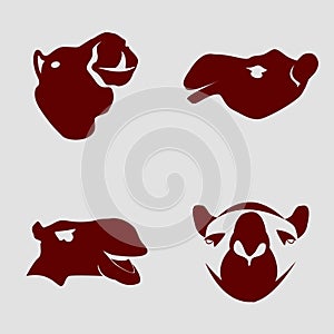 Camel Head Logo Illustration Bundle