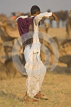 Camel Herder
