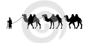 Camel Herder Silhouette illustration. Camel Caravan Silhouette