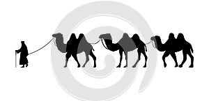 Camel Herder Silhouette illustration. Camel Caravan Silhouette