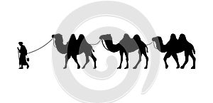 Camel Herder Silhouette illustration. Camel Caravan Silhouette